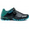 Black / Blue