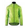 Visibility Green