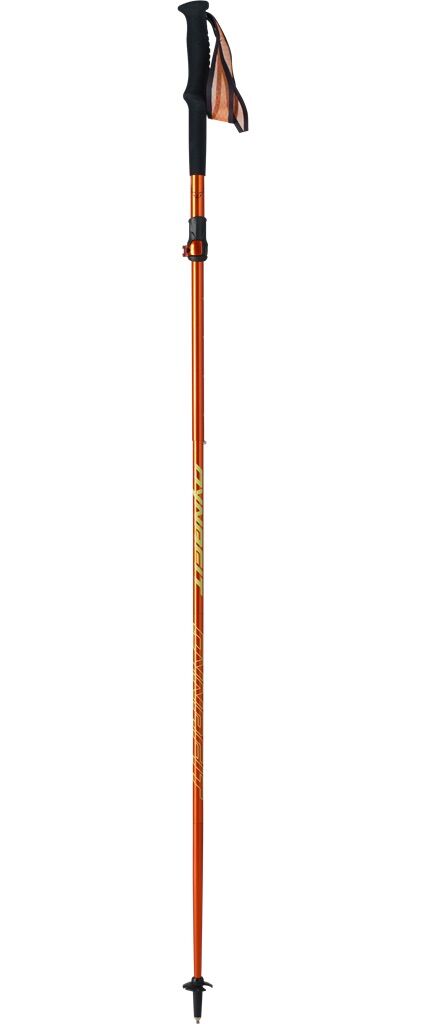 Dynafit - Ultra - Running poles