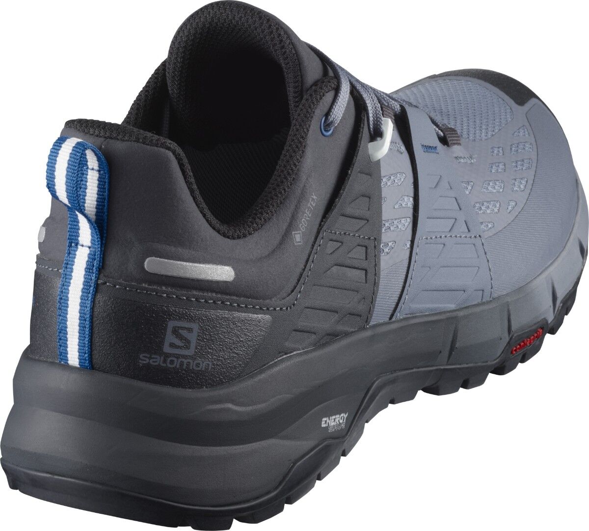 Salomon Odyssey GTX - Walking shoes - Men's