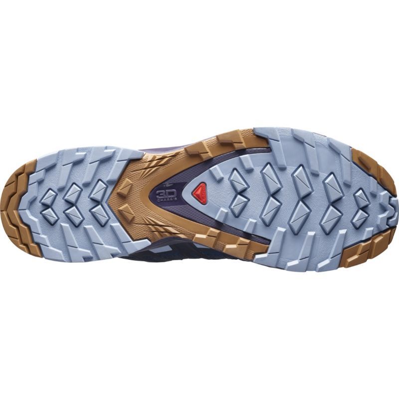 Salomon XA Pro 3D V8 - Buty turystyczne damskie | Hardloop