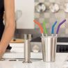 Klean Kanteen 5 Piece Straw Set - Multi Color