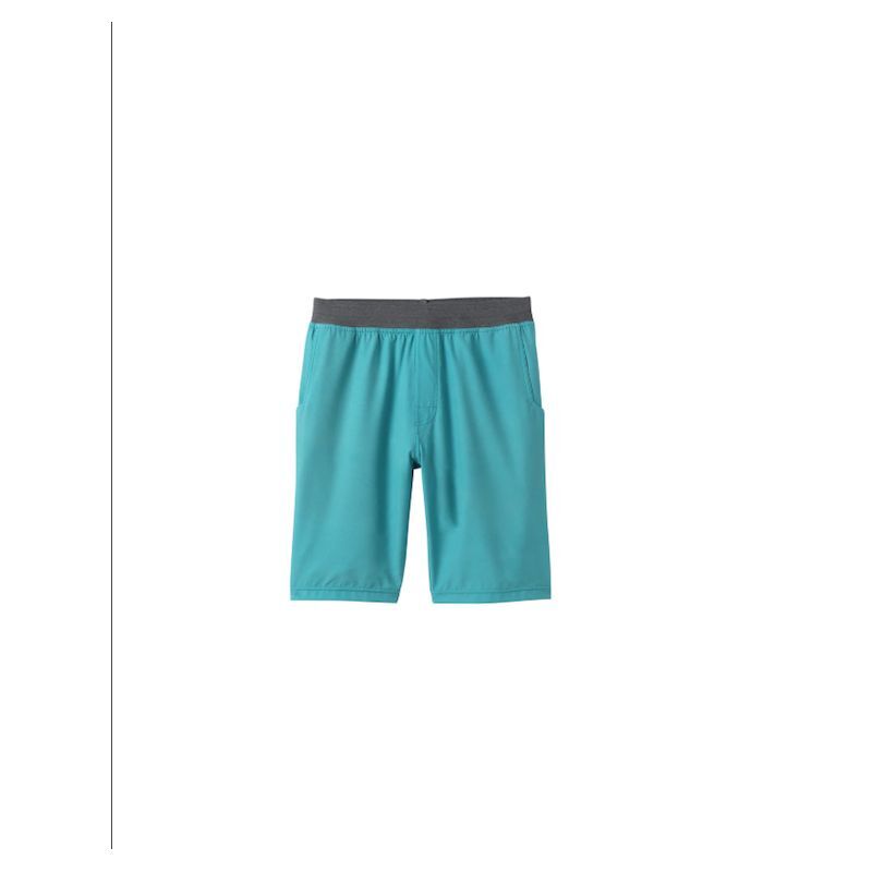 Prana cheap aria shorts