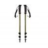 Burnt Olive