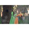 Sea To Summit Clothesline - 3,5 m | Hardloop