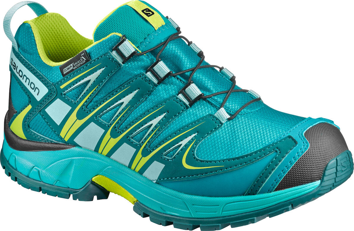 Salomon xa pro 3d cs wp best sale womens