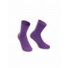 Venus Violet