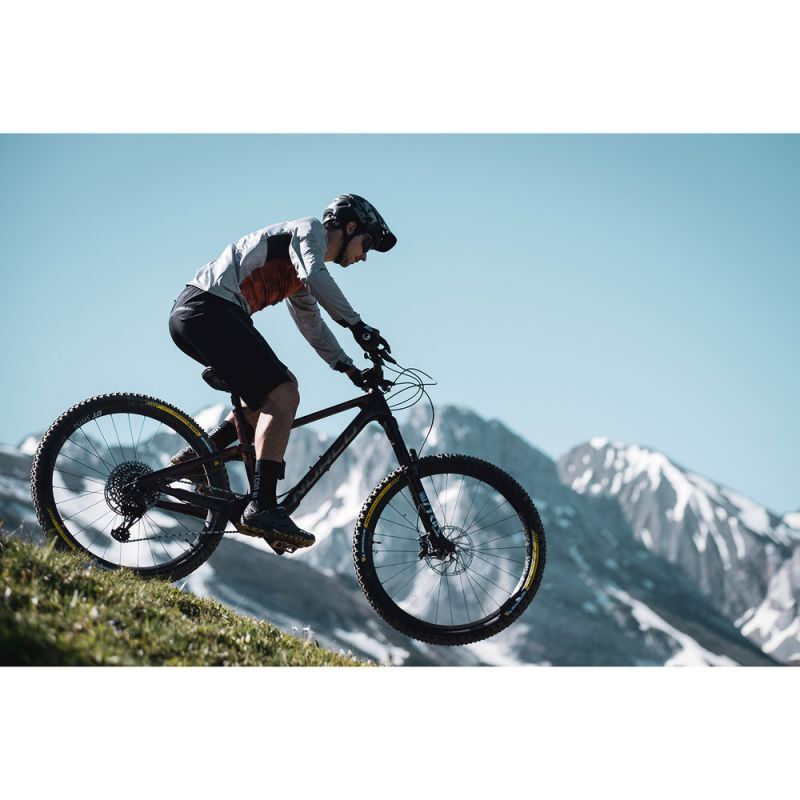Northwave Spider Plus 2 - MTB Schuhe
