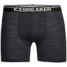 Icebreaker Mens Anatomica Long Boxers - Underwear - Men's