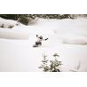 O'Neill GTX 2L Psycho Tech Anorak - Ski jacket - Women's