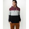 Tentree TreeFleece Blocked Reynard Hoodie - Felpa con cappuccio - Uomo