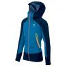 Indigo Bunting / Insignia Blue