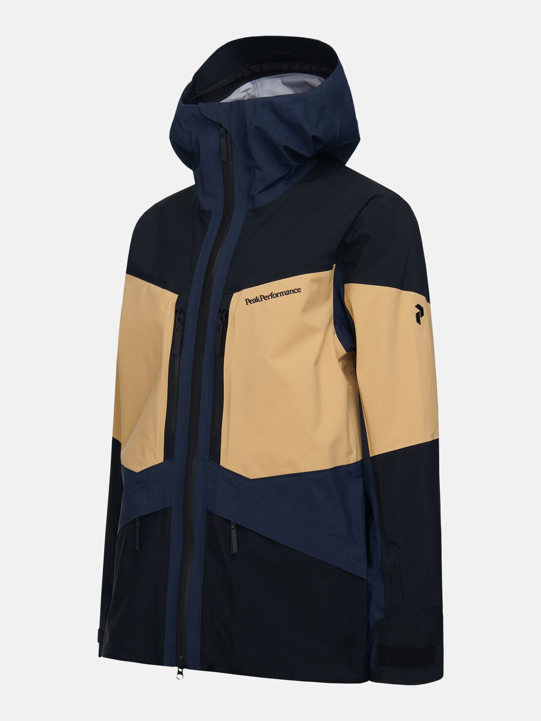 スキー Peak Performance Gravity Jacket Peak Performance GRAVITY GORE-TEX JACKET - Skijacke - salute