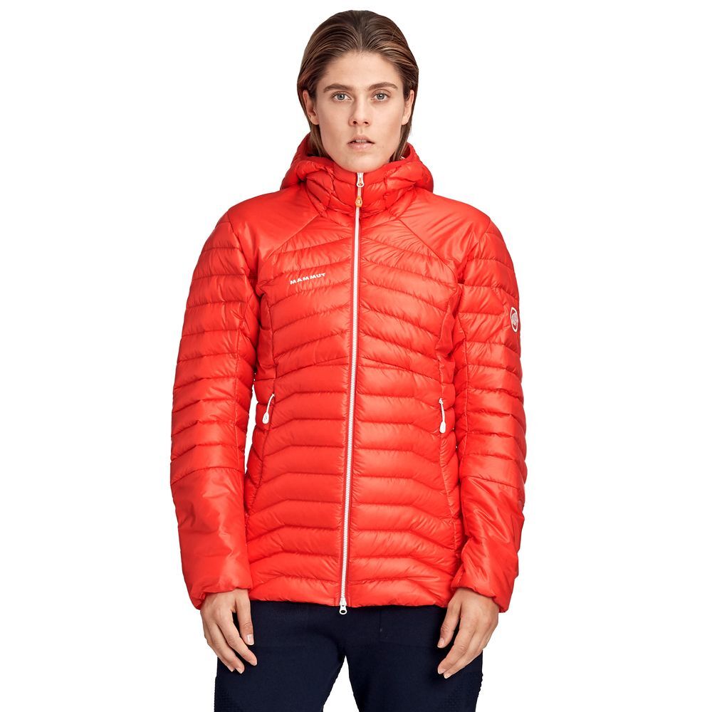Mammut Eigerjoch Advanced IN Hooded Jacket - Hybridjacke - Damen