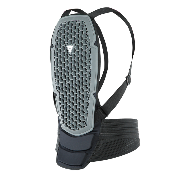 Dainese PRO ARMOR BACK ブラック プロテクター DAINESE Dainese PRO ARMOR BACK ブラック プロテクター DAINESE