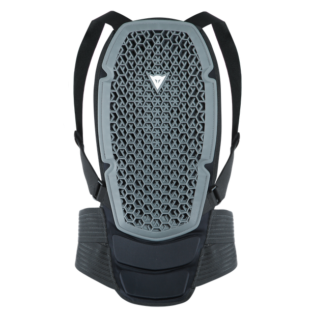 Dainese Pro Armor Back Protector G1 - Protektor