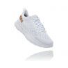 White / Golden Egg