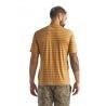 Icebreaker Utility Explore SS Crewe Stripe - Merino shirt - Men's I Hardloop