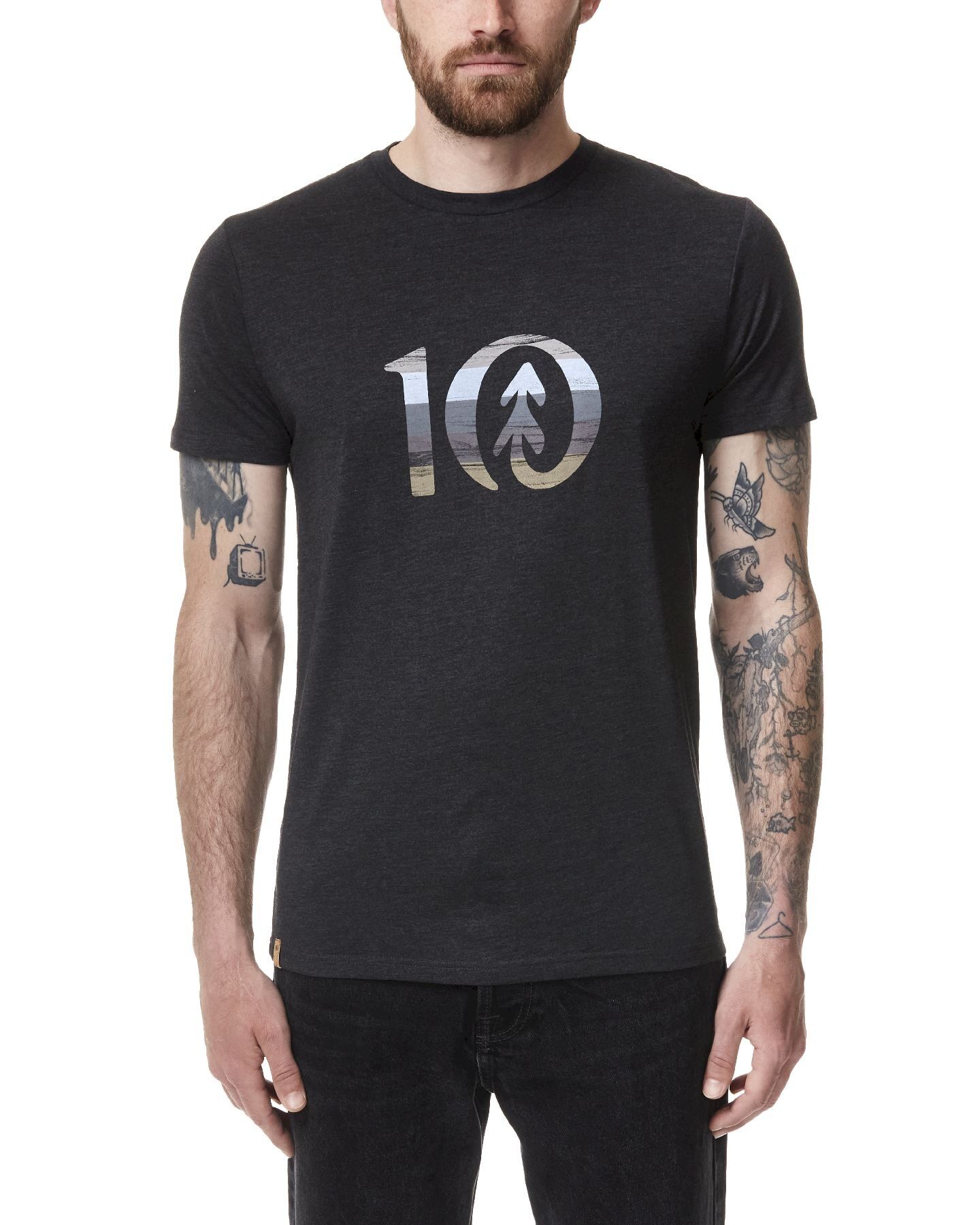 Tentree Spruce Stripe Ten - T-shirt homme | Hardloop
