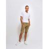 Kaki Olive