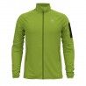 Macaw Green Melange