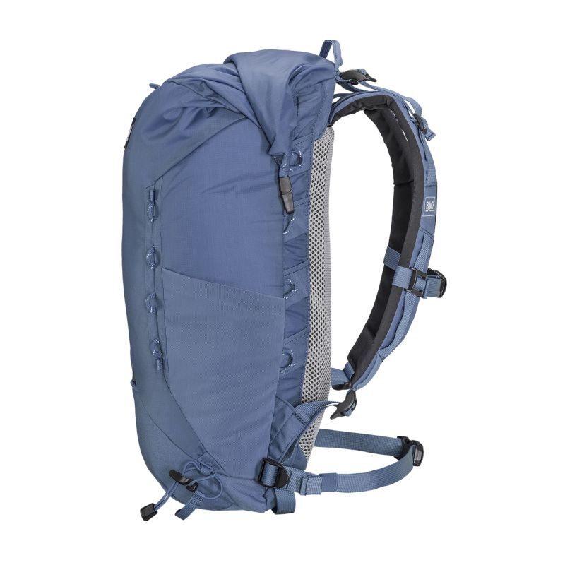 Bach Higgs 15 - Walking backpack