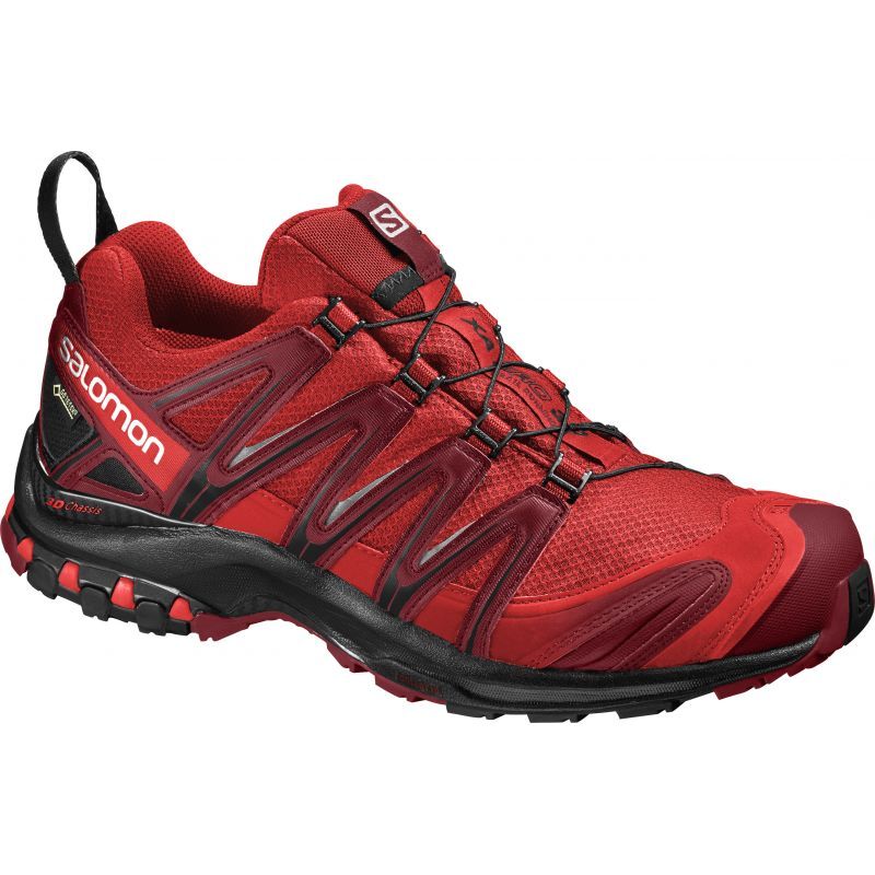 Salomon XA Pro 3D GTX® - Wanderschuhe - Herren