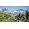Scott Trail Run s/sl - T-shirt meski | Hardloop