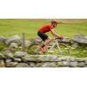 Scott ARX Plus (CE) - Casque vélo | Hardloop
