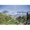 Scott Supertrac 2.0 - Trailrunningschuhe - Damen