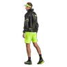 Dynafit Ultra 100 GTX - Scarpe da trail running - Uomo