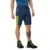 Jack Wolfskin Overland Shorts - Pantaloncini da trekking - Uomo