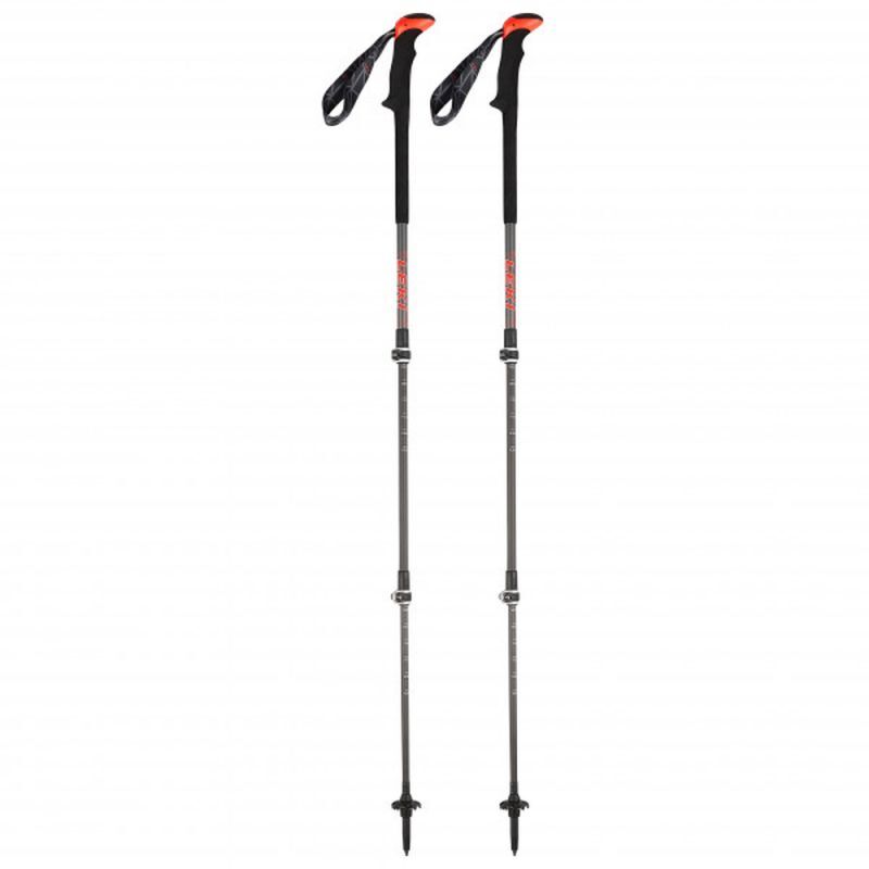 Leki Carbon TA XTG - Walking poles