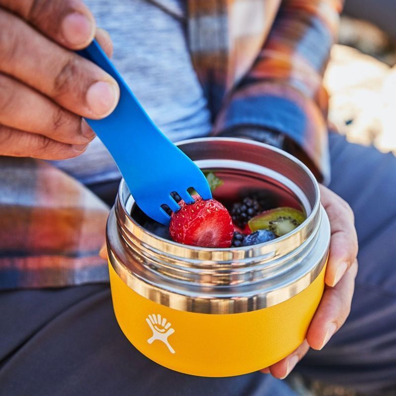 Hydroflask Insulated 20 oz. Food Jar in Baltic