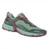Duck Green / Rhododendon