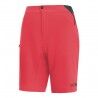 Hibiscus Pink