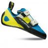 Sulphur / Blue