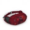 Claret Red