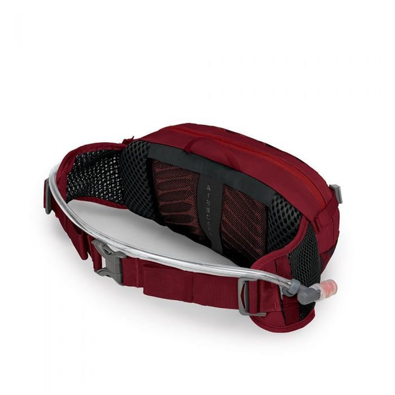 Osprey Seral 4 - Marsupio idrico