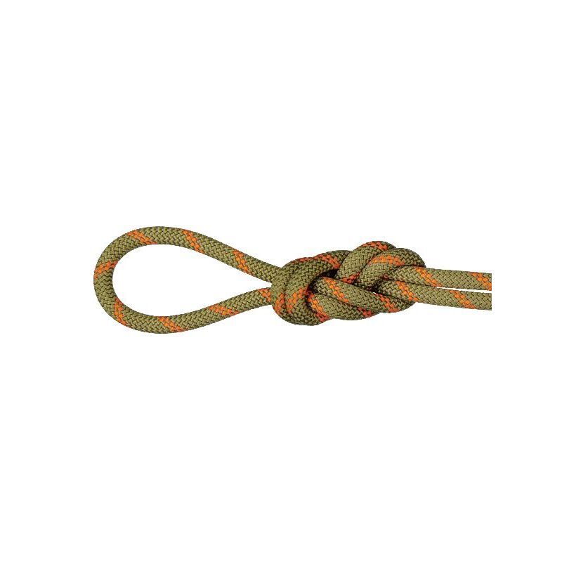 8.0 Alpine Dry Rope - Corda dupla