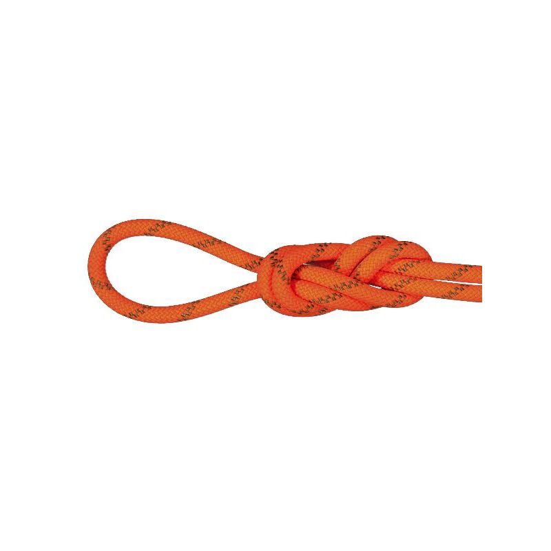 8.0 Alpine Dry Rope - Cuerda doble