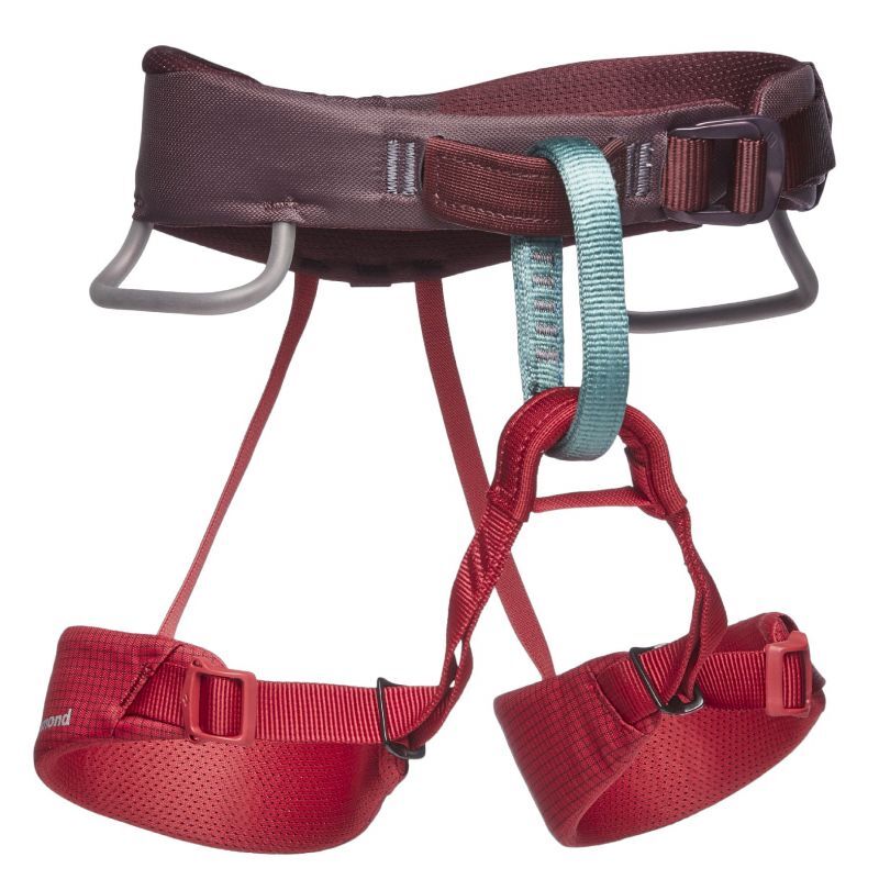 Black Diamond Momentum Harness Kids - Climbing harness - Kids