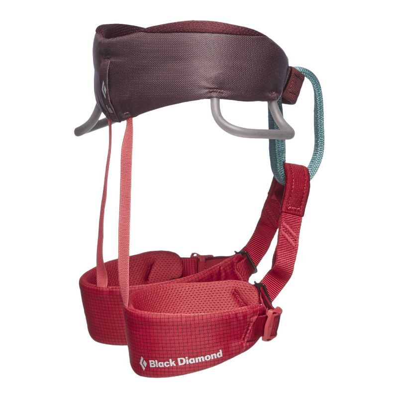 Black Diamond Momentum Harness Kids - Arnés de escalada - Niños