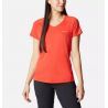 Bold Orange