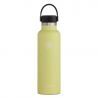 Hydro Flask 21 oz Standard Mouth - Gourde isotherme 621 mL | Hardloop