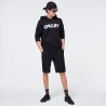 Oakley B1B Po Hoodie - Jumper - Men's