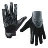 Dynafit DNA 2 Gloves - Guanti da sci