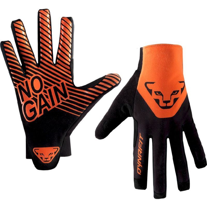 Dynafit DNA 2 Gloves - Ski gloves