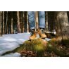 Dachstein Hubert 2.0 GTX - Boots - Men's