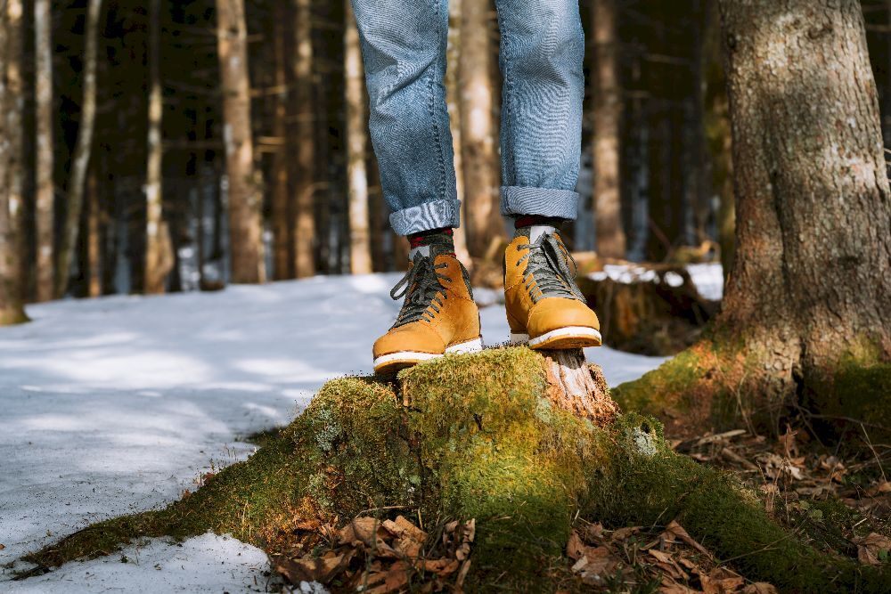Dachstein Hubert 2.0 GTX - Boots - Men's